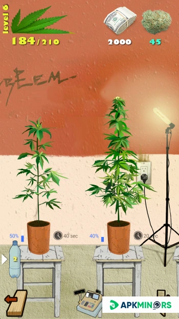 Weed Firm Replanted APK